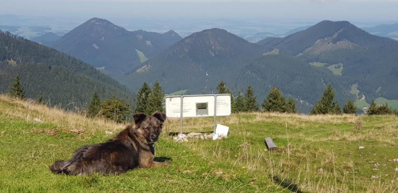 Hotel Alte Post Faistenau Buitenkant foto